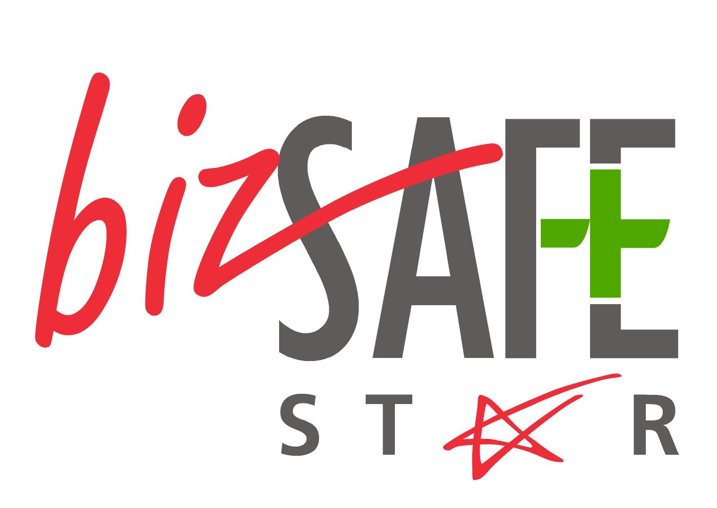 BizSafe Star for Racking